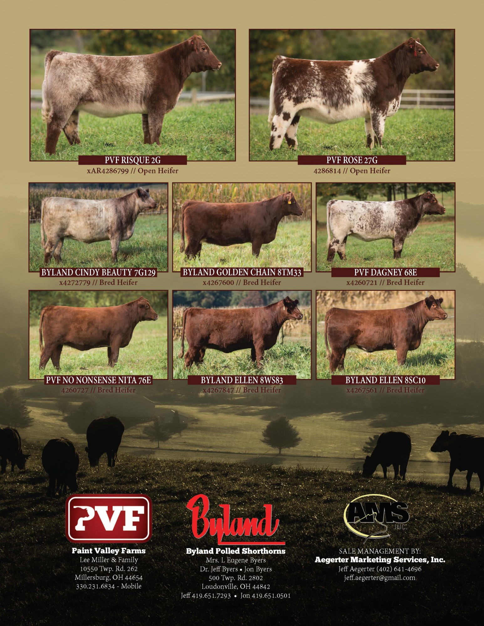 Auction Paint Valley Farms