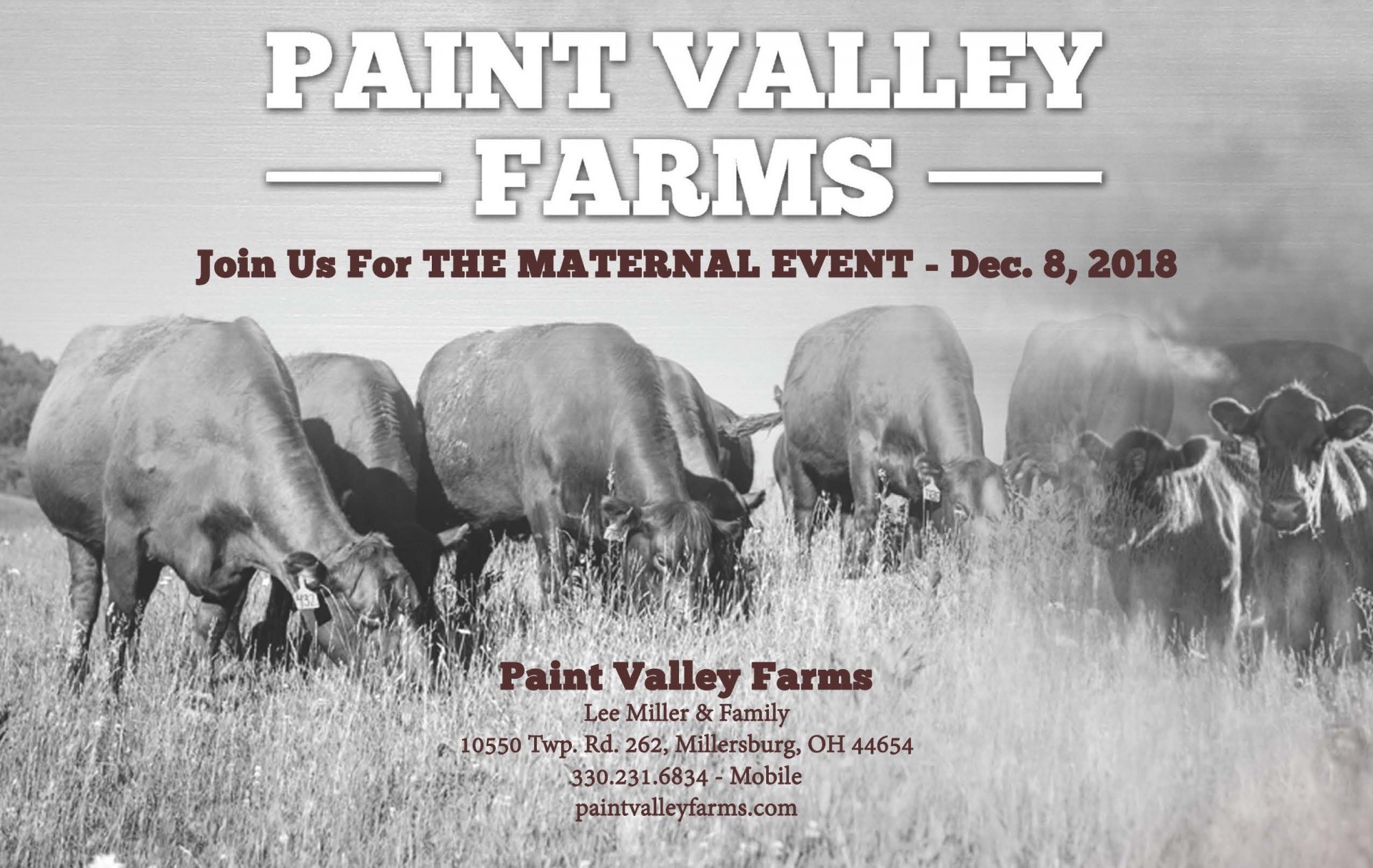 Auction Paint Valley Farms